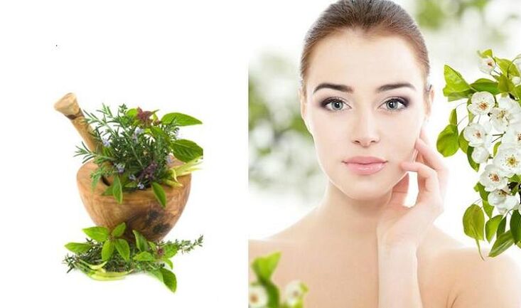 how to use herb for rejuvenation